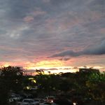Cindy Holcomb - @cloulu2 - Instagram