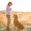 cindyholcomb046 - @cindyholcomb046 - TikTok