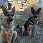 Cindy Holmes - Facebook
