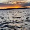 Cindy Holmes - @cindy.holmes - TikTok