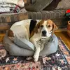 cindybolsinger532 - @cindybolsinger532 - TikTok