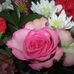 Lucinda Holsinger - Facebook