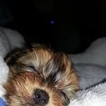 Cindy Holt - @2013cholt - Instagram