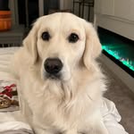 Cindy Holt - @cindyholtart - Instagram
