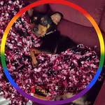 Cindy Holt - @cindy.holt.946 - Instagram