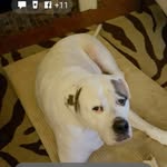 Cindy Holt - @cindy.holt.908 - Instagram