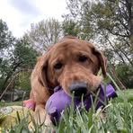 Cindy Holt - Facebook