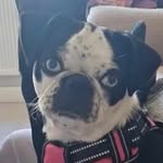 Cindy Holt - @cindy.holt40 - Instagram