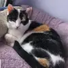 cindyholt1 - @cindyholt1 - TikTok