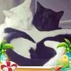 cindyholt77 - @cindyholt77 - TikTok