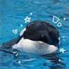 𓆉°~☆ MARLE ☆~°𓆉 - @cindyhoogsteen - TikTok