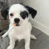 Cindy Hoogeboom - @cindyhoogeboom - TikTok