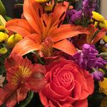 Cindy Hoogenboom - @cindypollardhoogenboom - Instagram