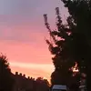 Cindy Hoogkerkse - @cindyhoogkerkse - TikTok
