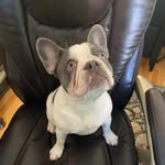 Cindy Pollard Hoogenboom - @cindyhoogenboom - Instagram