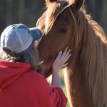 Cindy Hooker Edwards - @cindy.h.edwards.1 - Instagram