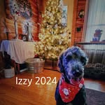 Cindy Houle - @cindyhoule - Instagram
