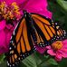 Cindy Houle - Facebook