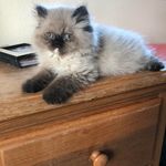 Cindy Houle - @cindy.houle.96 - Instagram