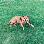 cindy howle - @cindyhowlecool - Instagram