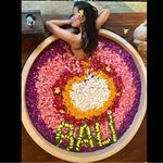 Cynthia Lewin - @cindyhoylewin - Instagram