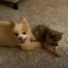 Cindy Hull - @cindy.hull1 - TikTok