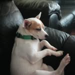 Cindy Hurt - @cindy.hurt.7547 - Instagram