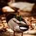 Cindy Hurt - Facebook