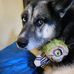Cindy Ingram - Facebook