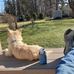 Cindy Jaeger - Facebook