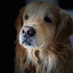 Cindy Jaeger - @cindyjaegerr - Instagram