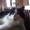 cindyjaeger2 - @cindyjaeger2 - TikTok