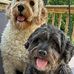 Cynthia Jarrett - Facebook