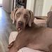 Cindy Kane - Facebook