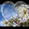 cindykeaton1 - @cindykeaton1 - TikTok
