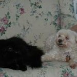 Cindy Spitzler Keefe - @cindyspitzlerkeefe - Instagram
