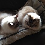 Cindy Keegan - @keegancindy - Instagram