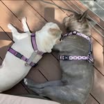 Cindy Keough Smith - @cynthiaannks - Instagram