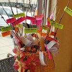 Cindy Kessler - @seedstotrees_org - Instagram