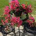 Cindy Kessler - Facebook