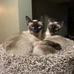 Cindy Knapp - @cindyknapp4337 - Instagram