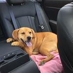 Cindy Swensen Knapp - @mama.knapp - Instagram