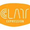 Cindy Koh - @clayexpression - TikTok