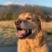 Cindy Kwiatkowski - Facebook