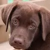 Cindy Lacey - @cindy.lacey4 - TikTok