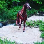 Cindy Lacey - @cindylacey7 - Instagram