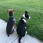 Cindy Laird - @claird2434 - Instagram