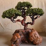 Cindy Laird Vlasich - @clearcreationsbysteve - Instagram