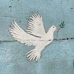 Cindy Gill Lapp - @cindy_lapp - Instagram