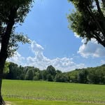 Cindy Lapp - @lapp8408 - Instagram